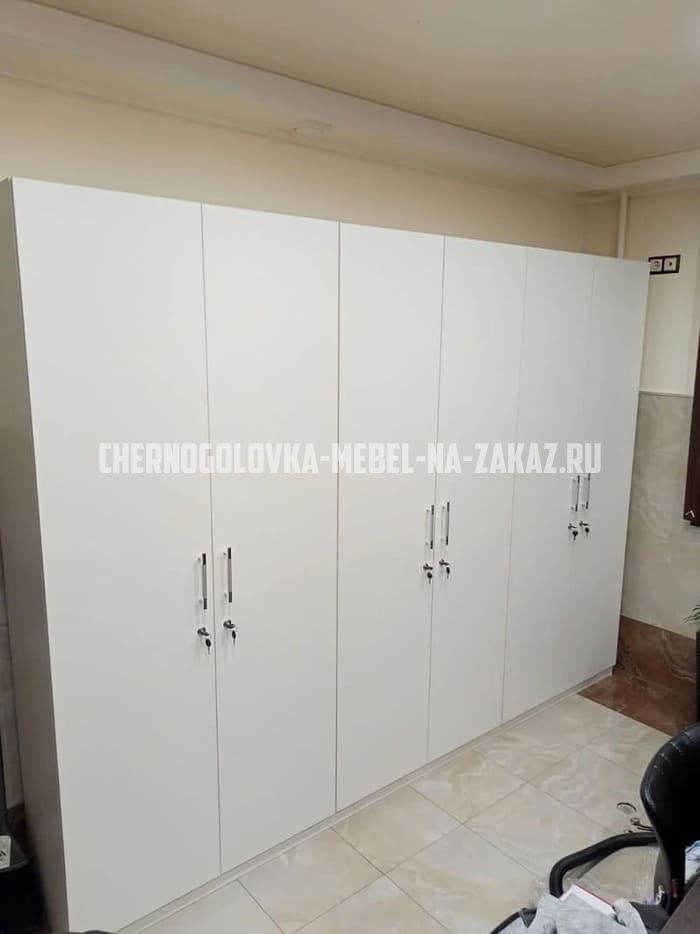 Встроенная мебель на заказ в Черноголовке